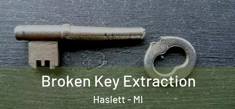  Broken Key Extraction Haslett - MI