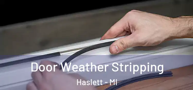  Door Weather Stripping Haslett - MI