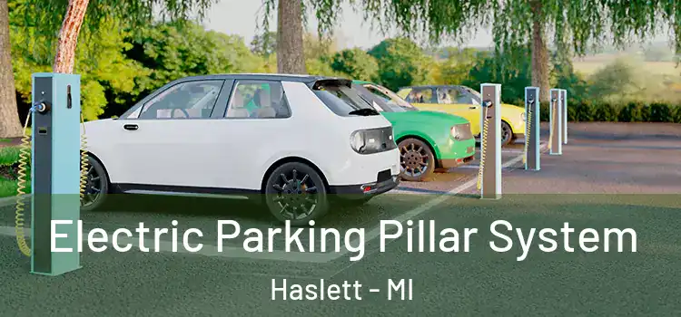  Electric Parking Pillar System Haslett - MI