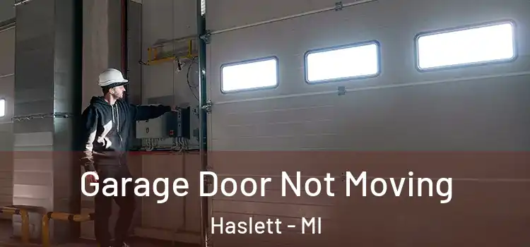  Garage Door Not Moving Haslett - MI