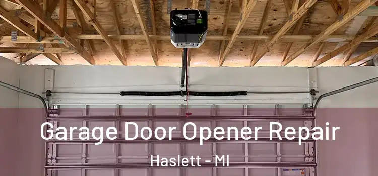  Garage Door Opener Repair Haslett - MI