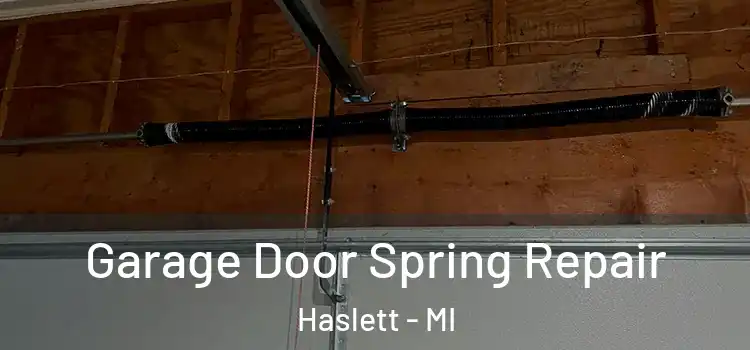  Garage Door Spring Repair Haslett - MI