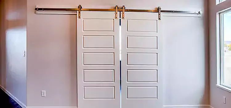 Glass Barn Door with Installation Hardware Kit Haslett