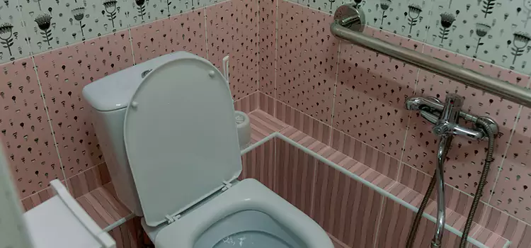 Meeting Diverse Needs With Accessible Restroom Solutions in Haslett, MI
