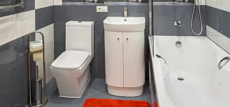 Hansgrohe Shaving Mirror Haslett