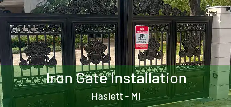  Iron Gate Installation Haslett - MI