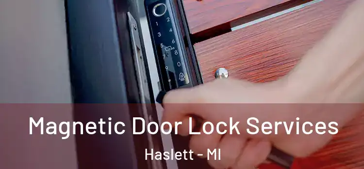  Magnetic Door Lock Services Haslett - MI