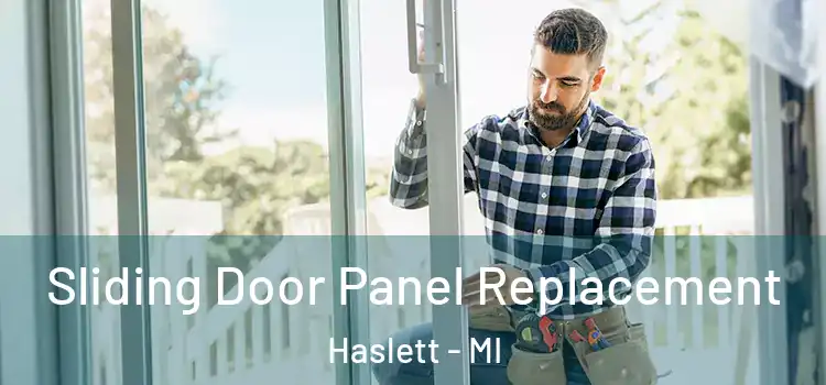  Sliding Door Panel Replacement Haslett - MI